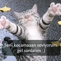 kabalinka.k