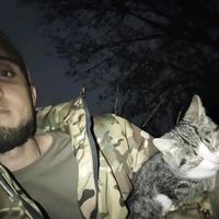 оригинальный звук