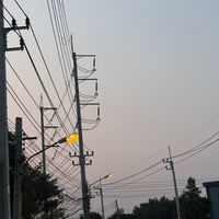 relaxed_22