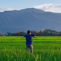 original sound - malfpv_