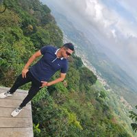 torresfox97