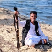 user781305808154