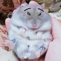 yuka_y10