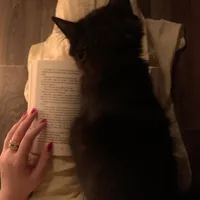 original sound - revkod7