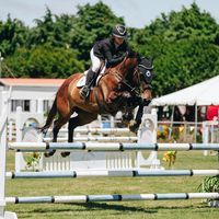 .caitlynwilkin.nz