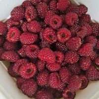 오리지널 사운드 - 전직)요술공주