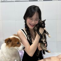 dntminh1306