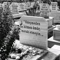 orijinal ses