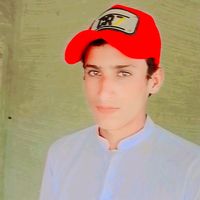 shahbazjatoi155