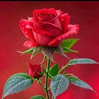 اصل آواز