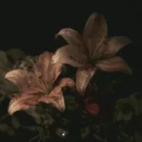 original sound - osquitxr_