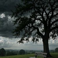 الصوت الأصلي - NSR