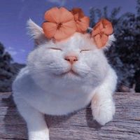 __holi__uwu__8