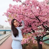 maymai777