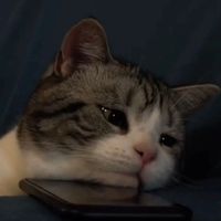 imurnk