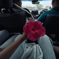 original sound - chloemcflurry67