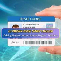 drivinglicense11