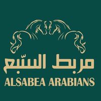 mohammedsabaa30