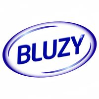 bluzy.store