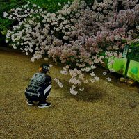 オリジナル楽曲 - 奈良の天使の子分