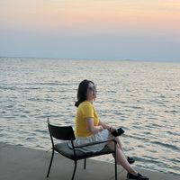 vylyza66