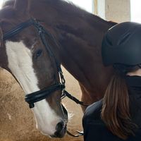 lovehorse_k.n.6