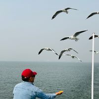 tim_adhikari