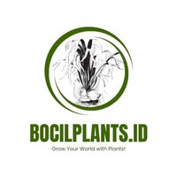 bocilplants_id