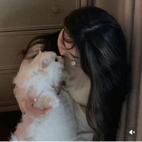 rose_petal009