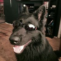 kzerzxq
