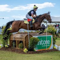 goughsporthorses