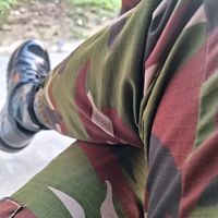thesilentarmy8