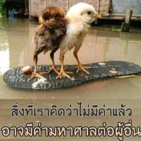 yuy888creator