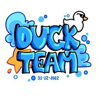 ducks3112