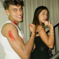 fevi_c8