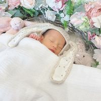 オリジナル楽曲 - ハムちゃんママ🐹