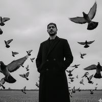 madianhamza5
