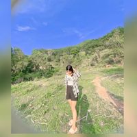 noy05371