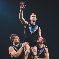 pafc_afl