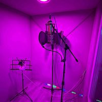 sonido original