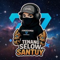 viindegamer