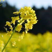 オリジナル楽曲 - ria。