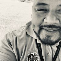 profebenja33