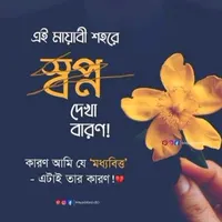 original sound - h.m.mahdi.hasan6