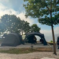 _spidercamp