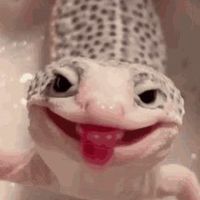 original sound - Altair.cpctTM