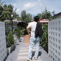 thanawan_598