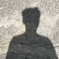user______sdey