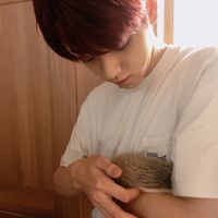 chois__bin
