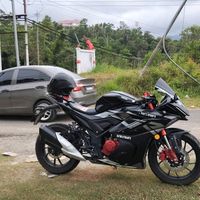 kadzboy17